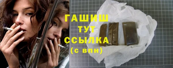 гидра Богданович