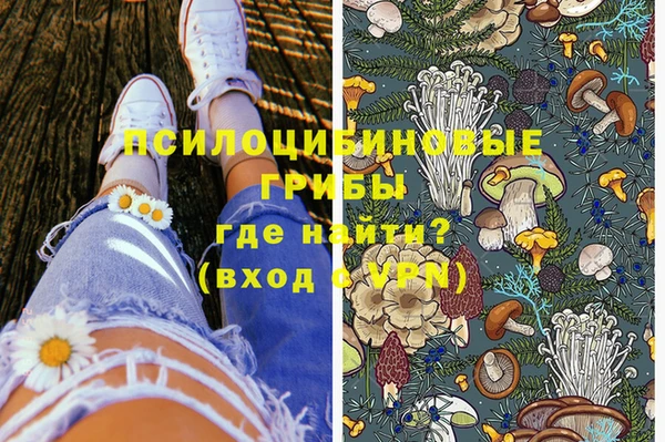 гидра Богданович