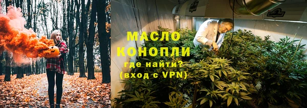 гидра Богданович