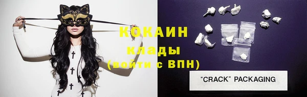 тгк Богородицк