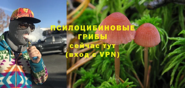 гидра Богданович