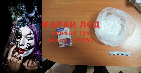 гидра Богданович