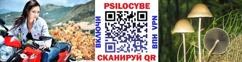Галлюциногенные грибы Cubensis  Данилов 